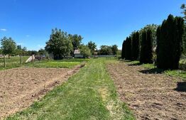 Teren extravilan , 2000mp ,  zona strada Careiului 