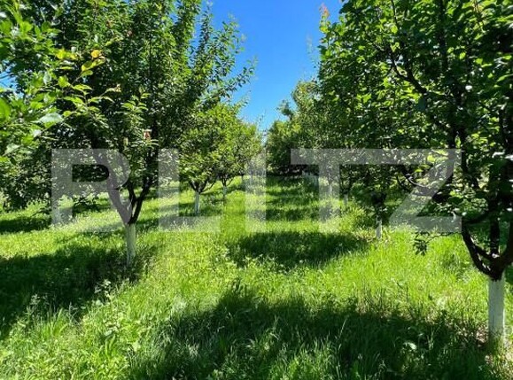 Teren de vânzare Careiului - 149631TV | BLITZ Satu Mare | Poza1