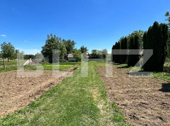 Teren de vânzare Careiului - 149631TV | BLITZ Satu Mare | Poza3