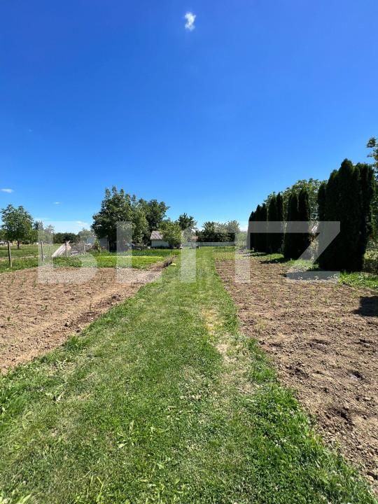 Teren de vânzare Careiului - 149631TV | BLITZ Satu Mare | Poza3