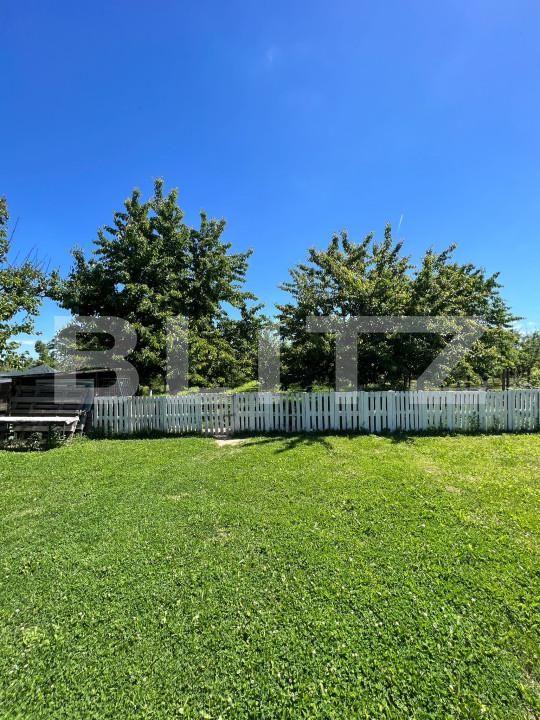 Teren de vânzare Careiului - 149631TV | BLITZ Satu Mare | Poza2