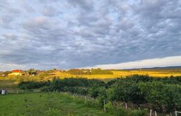 Casa/Vila de vanzare / posibil  Pensiune ,cu view și pădure la colțul străzii