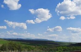 Casa/Vila de vanzare / posibil  Pensiune ,cu view și pădure la colțul străzii