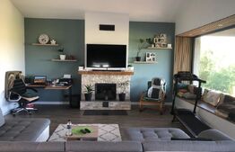 Casa/Vila de vanzare / posibil  Pensiune ,cu view și pădure la colțul străzii