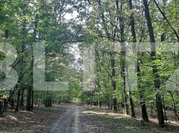 Casa de vânzare 5 camere Viile Satu Mare - 150742CV | BLITZ Satu Mare | Poza14