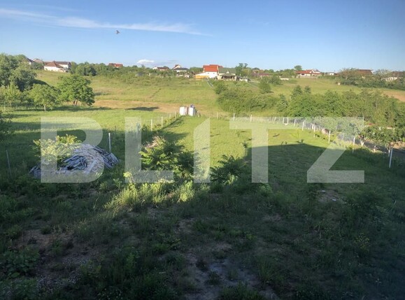 Casa de vânzare 5 camere Viile Satu Mare - 150742CV | BLITZ Satu Mare | Poza12