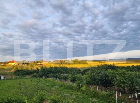 Casa de vânzare 5 camere Viile Satu Mare - 150742CV | BLITZ Satu Mare | Poza1