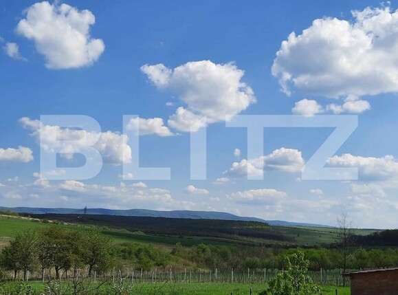 Casa de vânzare 5 camere Viile Satu Mare - 150742CV | BLITZ Satu Mare | Poza13
