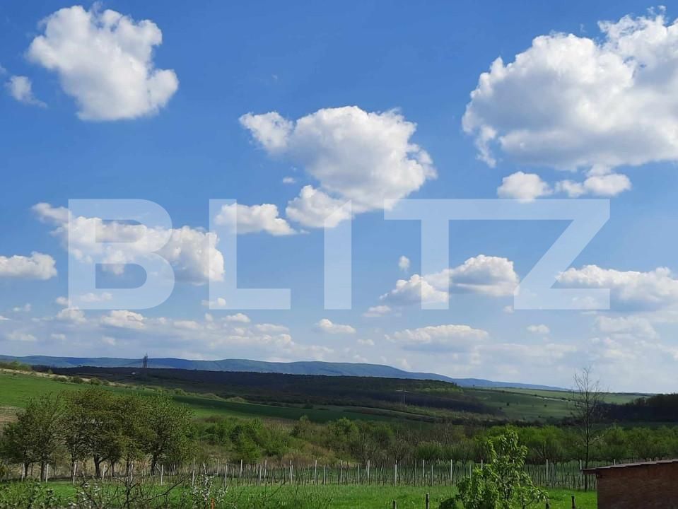 Casa de vânzare 5 camere Viile Satu Mare - 150742CV | BLITZ Satu Mare | Poza13