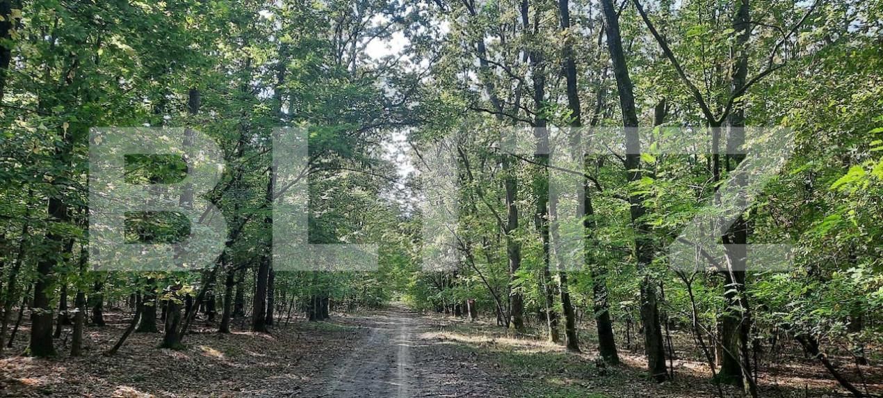 Casa de vânzare 5 camere Viile Satu Mare - 150742CV | BLITZ Satu Mare | Poza14