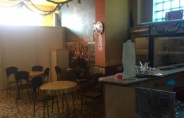 Oportunitate de investitie! Casa cu chiriasi, individuala 176 mp, zona 14 MAI