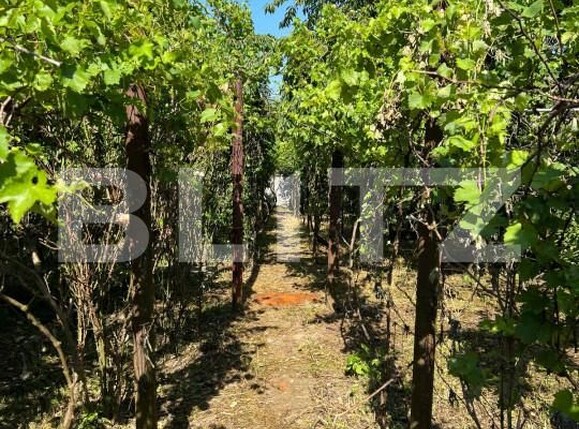 Casa de vânzare 3 camere 14 Mai - 151333CV | BLITZ Satu Mare | Poza7