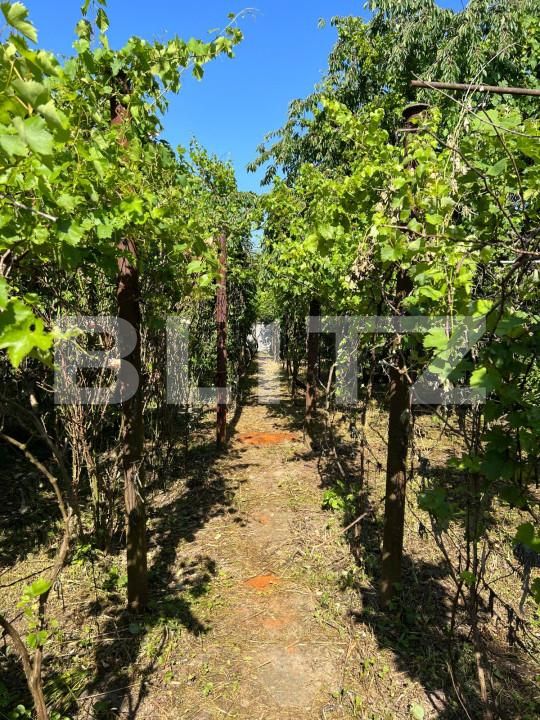 Casa de vânzare 3 camere 14 Mai - 151333CV | BLITZ Satu Mare | Poza7