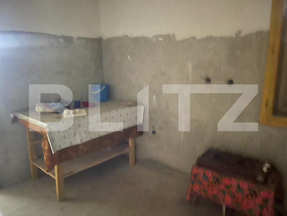 Casa de vânzare 7 camere Botiz - 152015CV | BLITZ Satu Mare | Poza8