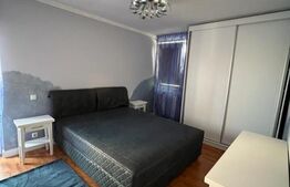 Apartament cu 2 Camere pe Strada Ceahlaului