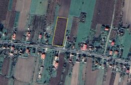 Teren intravilan de vanzare ,5800mp, zona Ciuperceni