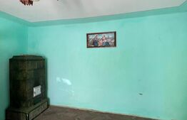 Vânzare Casă în Satul Petin, Comuna Paulești