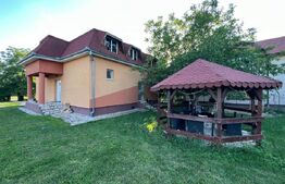 Casă S+P+M în Zona Lucian Blaga, în spate la peco OMV