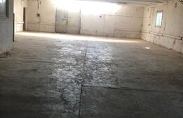 Hala de inchiriat , 220mp , zona Industriala , langa Botiz 