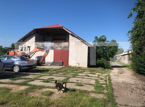 Spațiu industrial de închiriat Botiz - 153801SII | BLITZ Satu Mare | Poza1