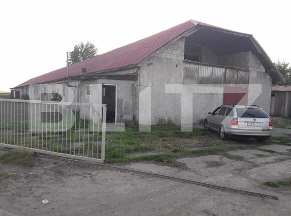 Spațiu industrial de închiriat Botiz - 153801SII | BLITZ Satu Mare | Poza2