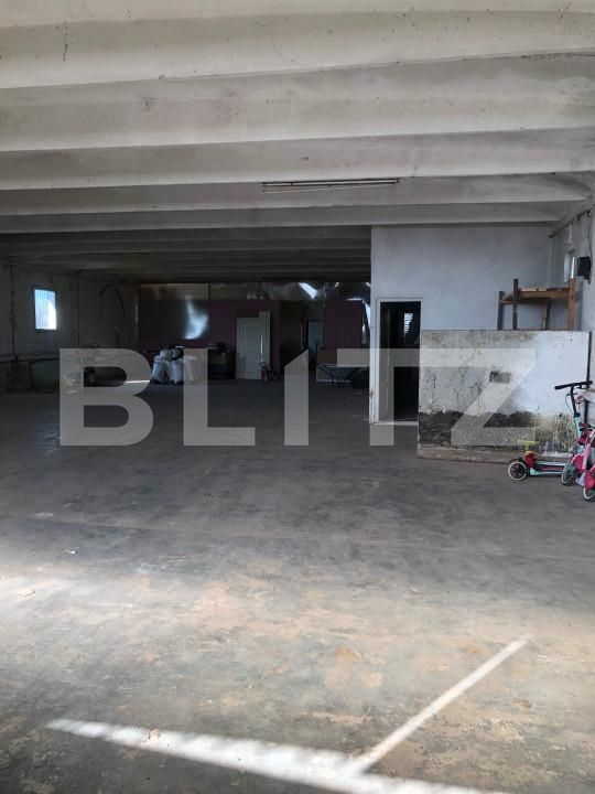 Spațiu industrial de închiriat Botiz - 153801SII | BLITZ Satu Mare | Poza4