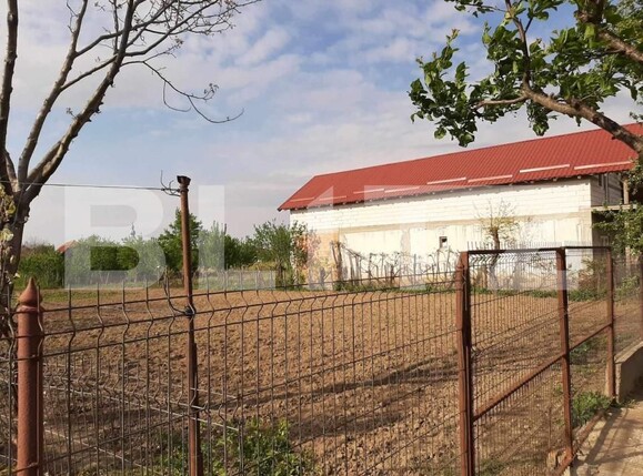 Casa de vânzare 4 camere Sătmărel - 154631CV | BLITZ Satu Mare | Poza10