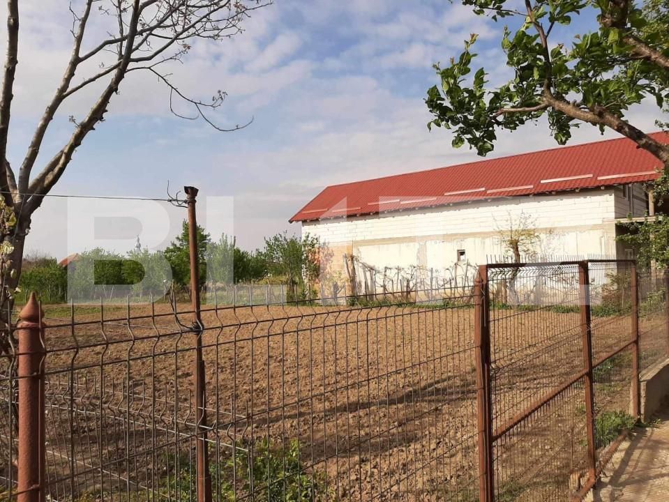 Casa de vânzare 4 camere Sătmărel - 154631CV | BLITZ Satu Mare | Poza10