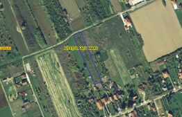 Teren Generos cu proiect de casa pe Strada Primăverii în Viile Satu Mare