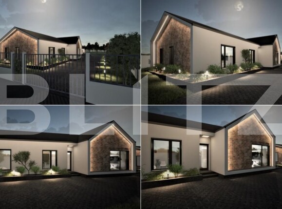 Teren de vânzare Viile Satu Mare - 154717TV | BLITZ Satu Mare | Poza6