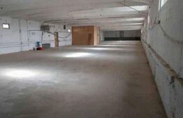 De inchiriat Hala industriala ,1200mp , langa Botiz