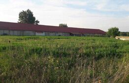 De inchiriat Hala industriala ,1200mp , langa Botiz