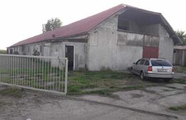 De inchiriat Hala industriala ,1200mp , langa Botiz