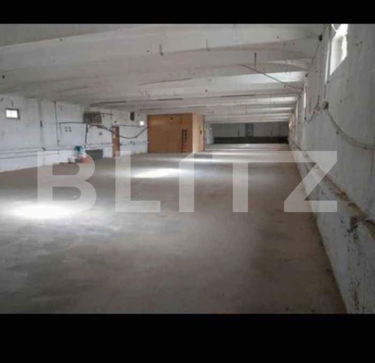 Spațiu industrial de închiriat Botiz - 155430SII | BLITZ Satu Mare | Poza3