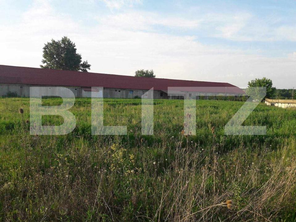 Spațiu industrial de închiriat Botiz - 155430SII | BLITZ Satu Mare | Poza1