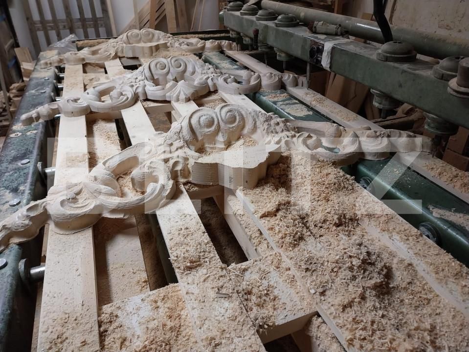 Spațiu industrial de vânzare Botiz - 155431SVI | BLITZ Satu Mare | Poza17