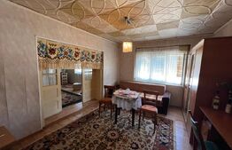 Casă în Pomi cu acoperis nou, Jud. Satu Mare