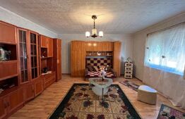 Casă în Pomi cu acoperis nou, Jud. Satu Mare