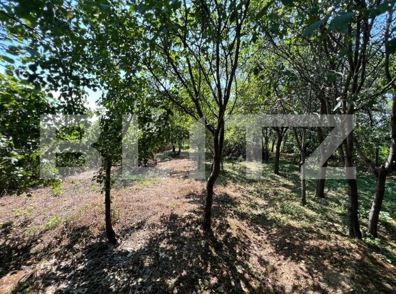 Casa de vânzare 3 camere Exterior Est - 155531CV | BLITZ Satu Mare | Poza5