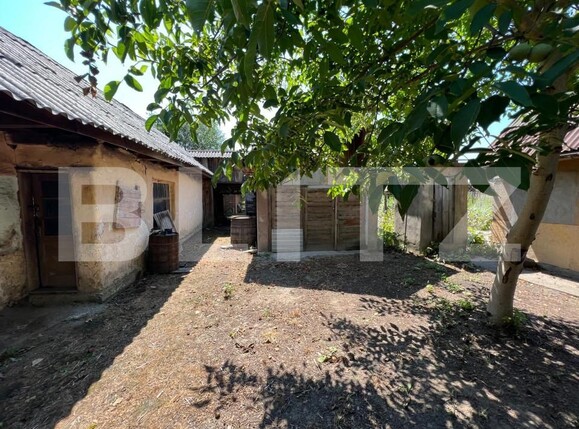 Casa de vânzare 3 camere Exterior Est - 155531CV | BLITZ Satu Mare | Poza3