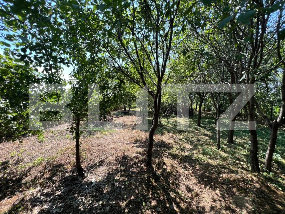 Casa de vânzare 3 camere Exterior Est - 155531CV | BLITZ Satu Mare | Poza2