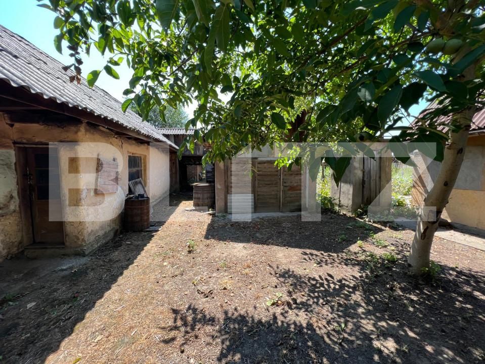 Casa de vânzare 3 camere Exterior Est - 155531CV | BLITZ Satu Mare | Poza3