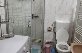 Apartament cu 1 cameră pe Strada Petofi Sandor