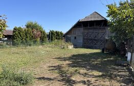 Casa, 100mp, 700mp teren, zona Hodisa