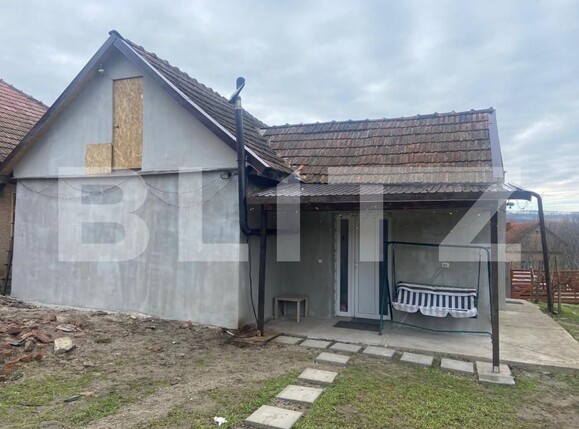 Casa de vânzare 3 camere Sud-Est - 156205CV | BLITZ Satu Mare | Poza16