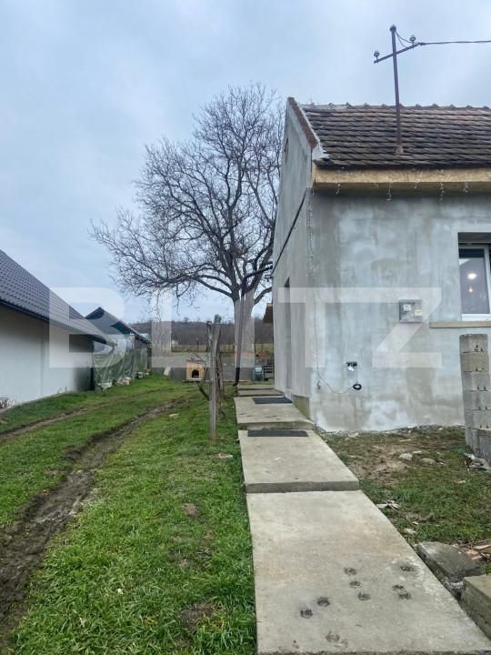 Casa de vânzare 3 camere Sud-Est - 156205CV | BLITZ Satu Mare | Poza15