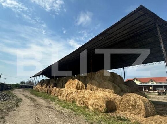 Spațiu industrial de vânzare Nord-Vest - 156799SVI | BLITZ Satu Mare | Poza13