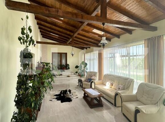 Spațiu industrial de vânzare Nord-Vest - 156799SVI | BLITZ Satu Mare | Poza24