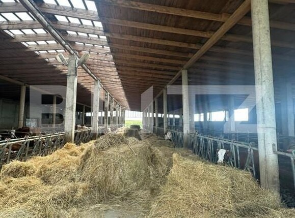 Spațiu industrial de vânzare Nord-Vest - 156799SVI | BLITZ Satu Mare | Poza6