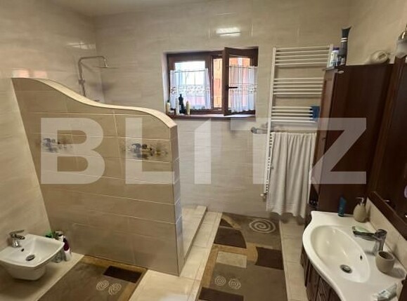 Spațiu industrial de vânzare Nord-Vest - 156799SVI | BLITZ Satu Mare | Poza25